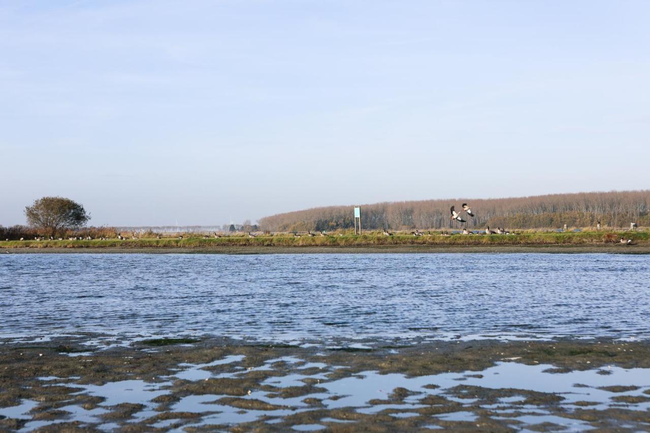 Wolphaartsdijk Huis Met Een Uitzicht Екстериор снимка