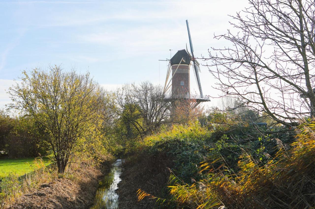 Wolphaartsdijk Huis Met Een Uitzicht Екстериор снимка